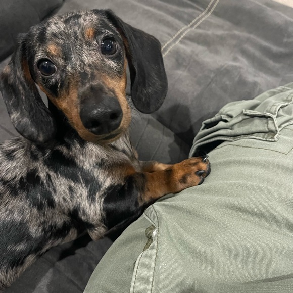 Hi Friend, I’m Christeena - Picture 2 of 16